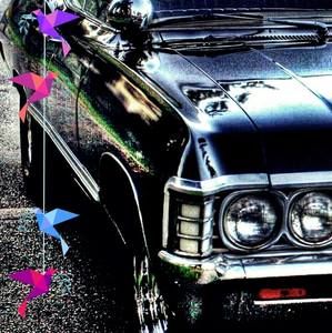 Meet your Posher, Angel